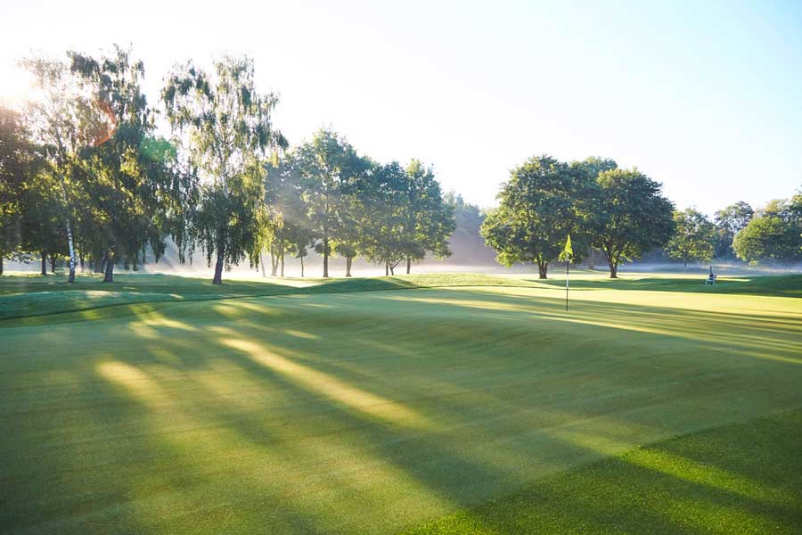 Die Sonne scheint durch die Bäume auf dem Grün des Golfclub Eichenried