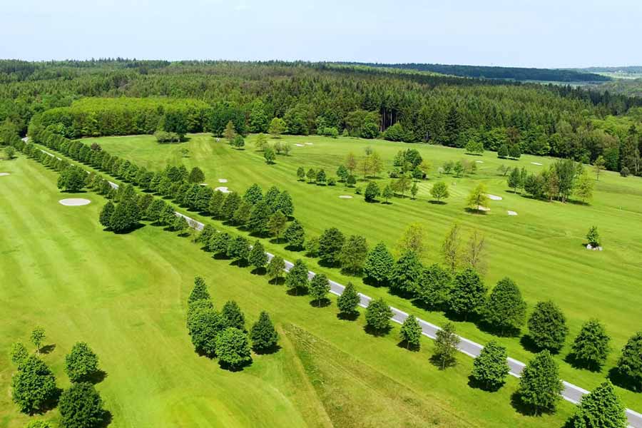 Golfgrün des Golfclubs Gut Sansenhof