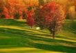 Kalt aber romantisch – Golfen im Herbst