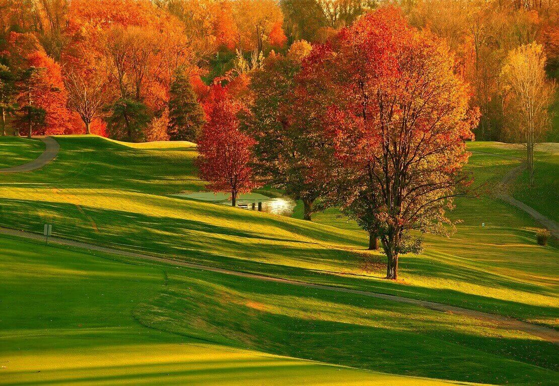 Herbstlicher Golfplatz mit farbigen Bäumen
