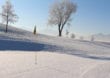 Greenkeeping bei Minusgraden: Wie überlebt ein Golfplatz den Winter?
