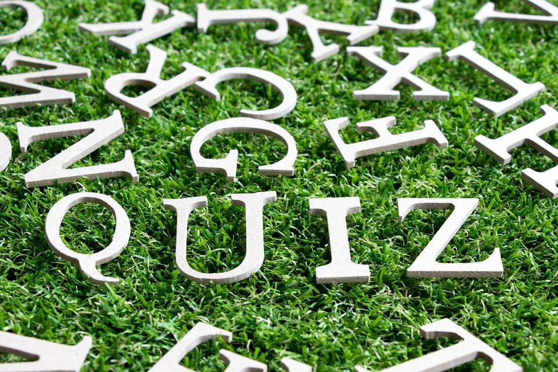 Buchstaben auf grünem Rasen bilden das Wort "Quiz"