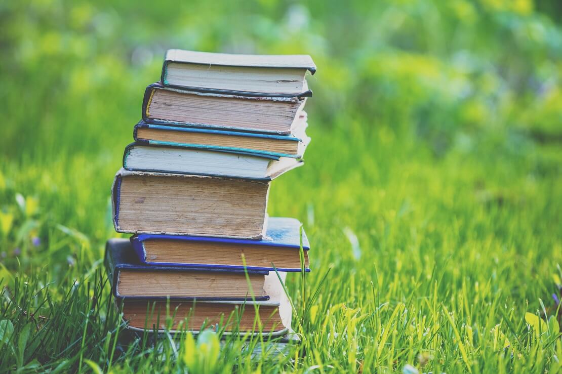 Bücherstapel liegt im Gras