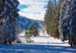 Abschlag im Schnee: Eisgolfen in Grönland