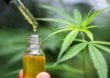 Was kann Cannabidiol bei Golfern bewirken?