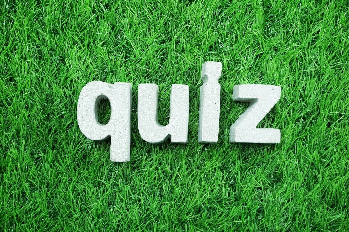 Quiz auf grünem Gras