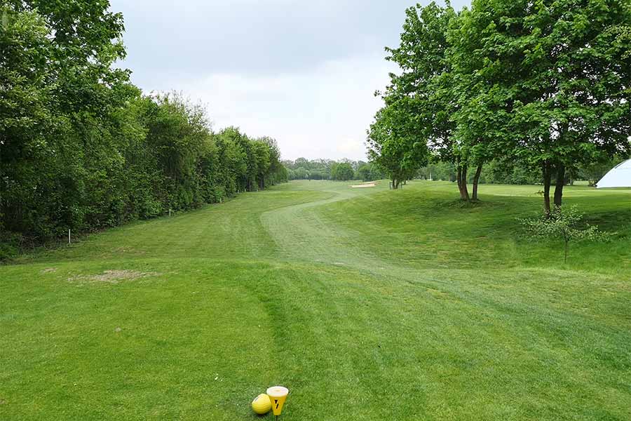 Lange Golfstrecke mit vielen Bäumen an den Seiten