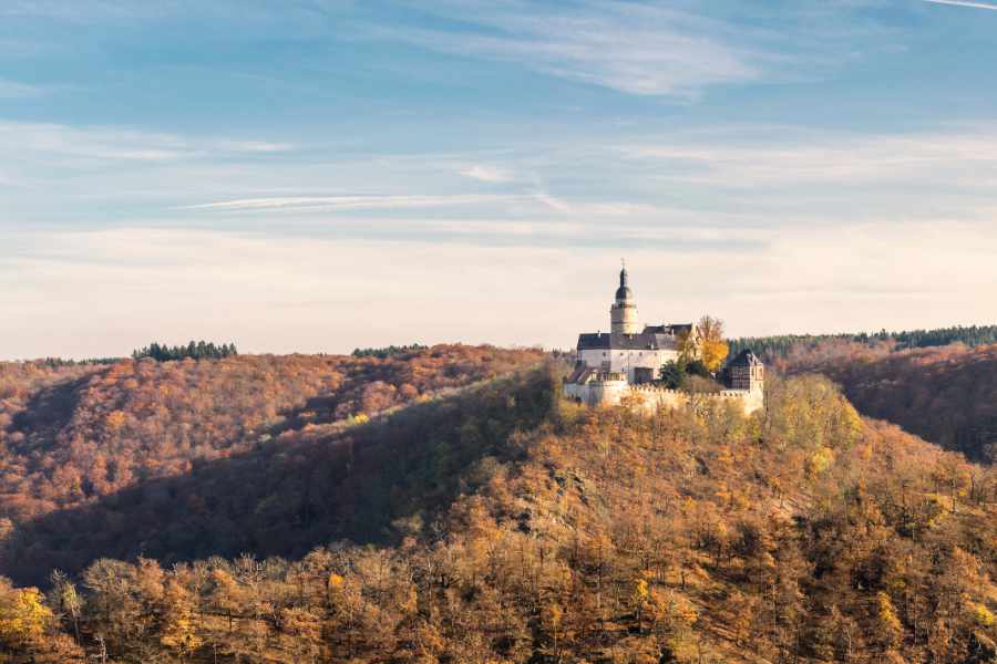 Eine Burg auf einem Hügel m Wald