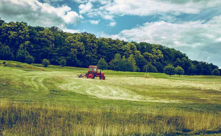 Ein Traktor fährt um einen Golfplatz zu mähen