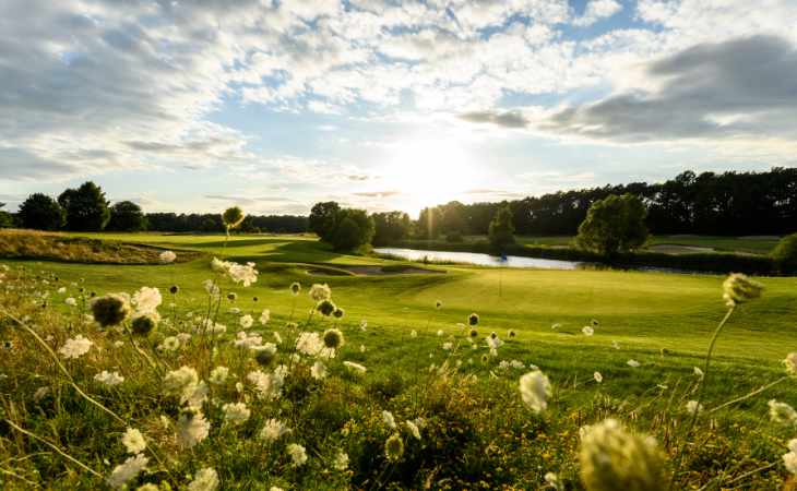 Ein idyllischer Sonnenuntergang über einem Golfplatz