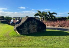 Ein großer Felsen, im Hintergrund Palmen und ein Golf Cart