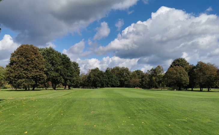 Bäume auf einem Golfplatz