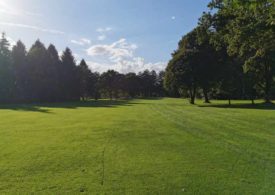 Bäume auf einem Golfplatz