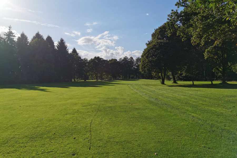 Bäume auf einem Golfplatz