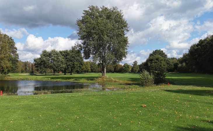 Ein Baum und ein Wasserhindernis auf einem Golfplatz