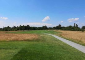 Ein Golfplatz mit gelben Feldern