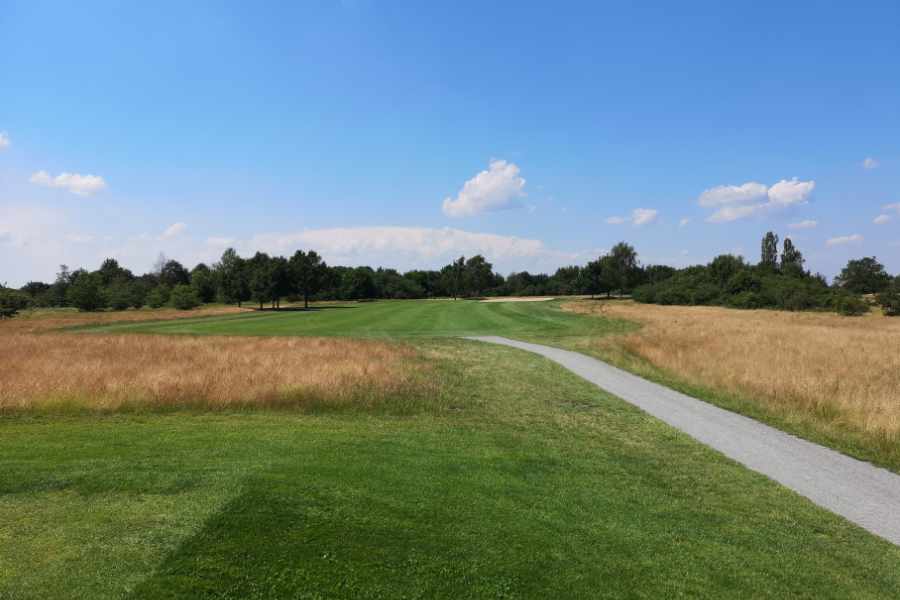 Ein Golfplatz mit gelben Feldern