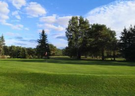 Eine Fahne vor Bäumen auf einem Golfplatz