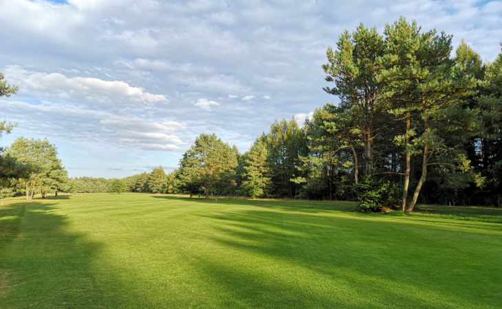 Rasen und Bäume auf einem Golfplatz