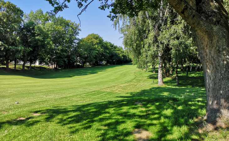 Ein schöner Golfplatz mit schattenspendenden Bäumen