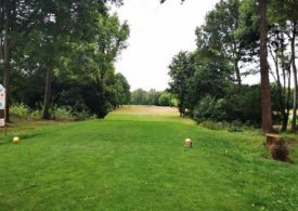 Eine Allee auf einem Golfplatz