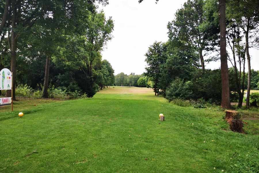 Eine Allee auf einem Golfplatz