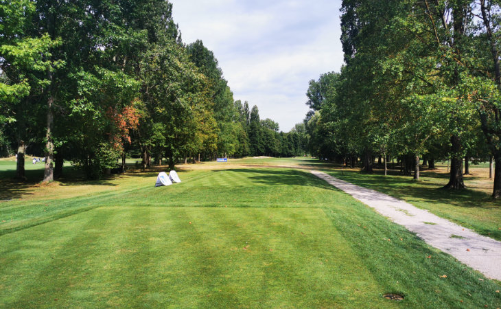 Eine Allee von Bäumen auf einem Golfplatz