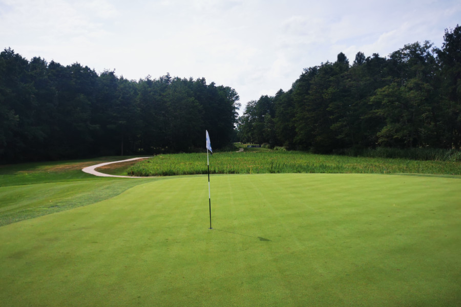Golf-Club Pfalz – Die Herausforderung im Wald