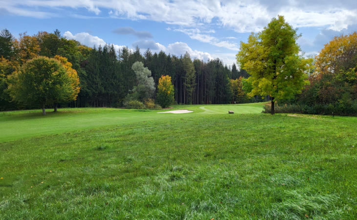 Ein Wald vor einem Golfplatz