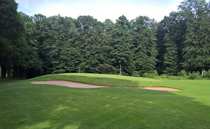 Ein Golfplatz mit einem Tannenwald im Hintergrund