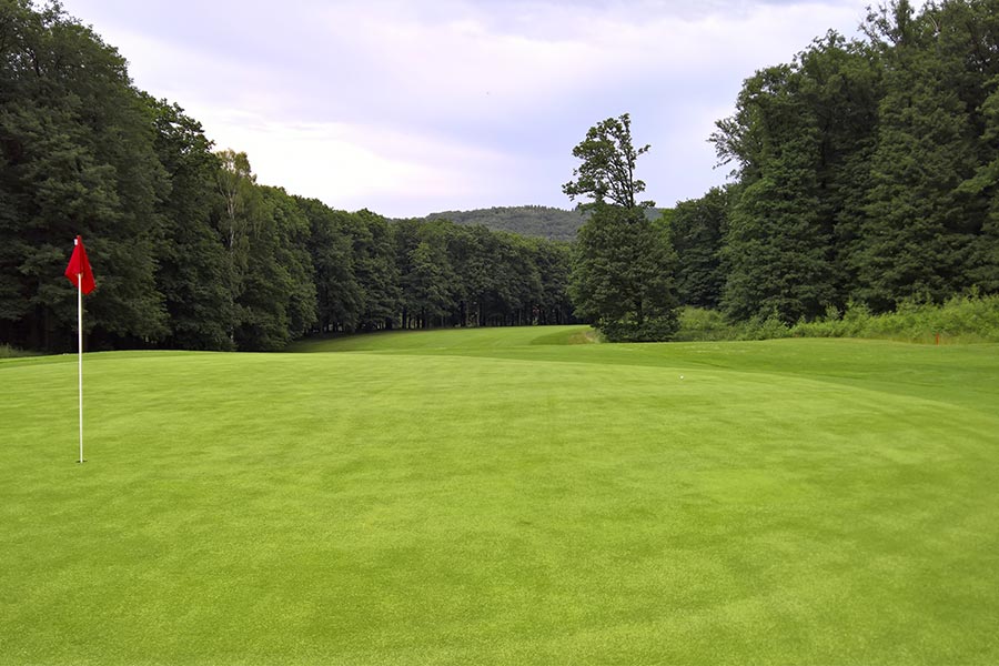 Golfclub Bad Salzdetfurth-Hildesheim – Hanglagen und viel Wald