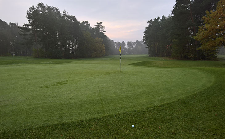 Golfplatzt mit einer Fahne in der Mitte