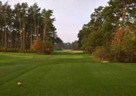 Eine Golfwiese im Wald