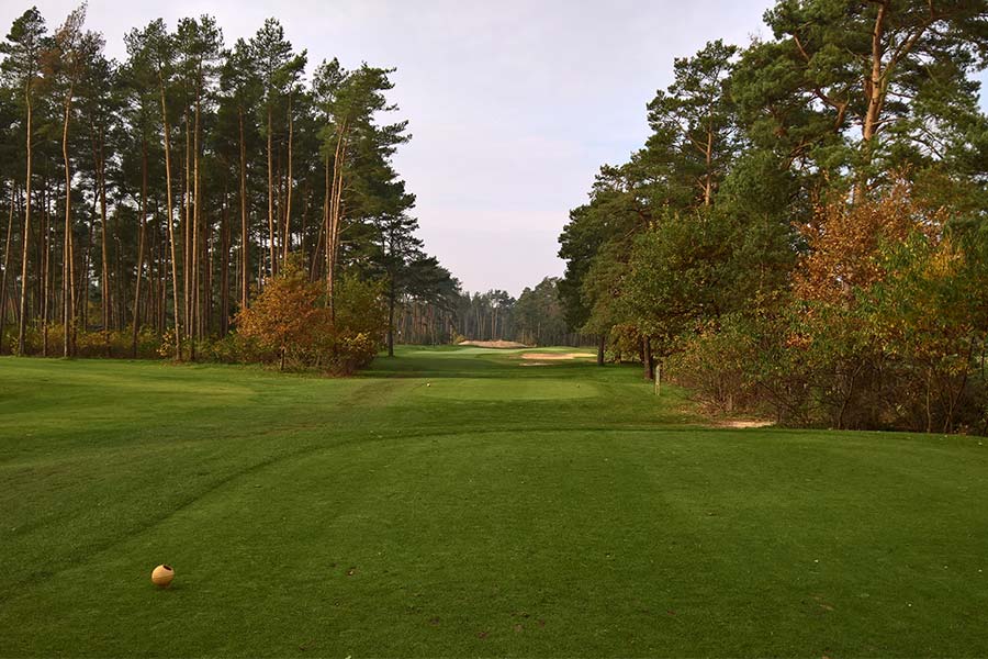 Burgdorfer Golfclub – Perfekte Pflege und viel Wald