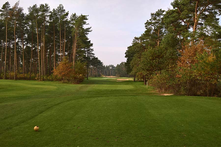 Eine Golfwiese im Wald