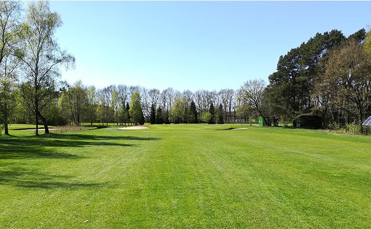 Ein großes Golf Feld mit Bäumen am Rand