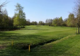 Ein Golfplatz mit Bäumen am Rand und einem Teich