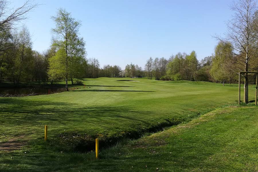 Ein Golfplatz mit Bäumen am Rand und einem Teich