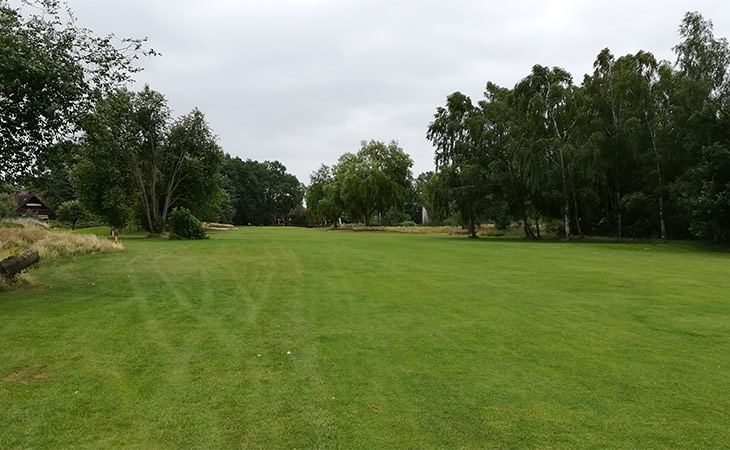 Eine Golfwiese und am Rand stehen verschiedene Bäume