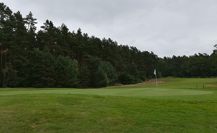 Ein Golfplatz umgeben von Tannen