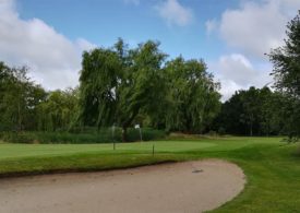 Ein Golfplatz mit Bäumen und Gebüsch im Hintergrund und in der Mitte ist ein Graben