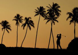 Die Schattensilhouette eines Golfers unter Palmen im Sonnenuntergang