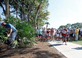 Ein Golfer spielt im Rough, dahinter viele Zuschauer