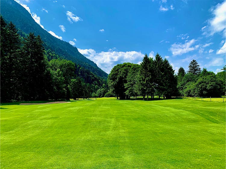 Eine grüne Landschaft