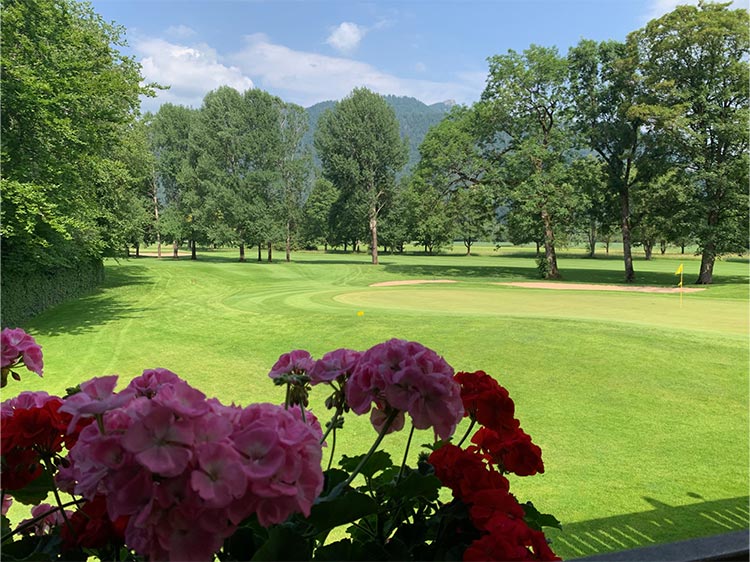 Rosa-rote Blumen und im Hintergrund ist ein Golfplatz