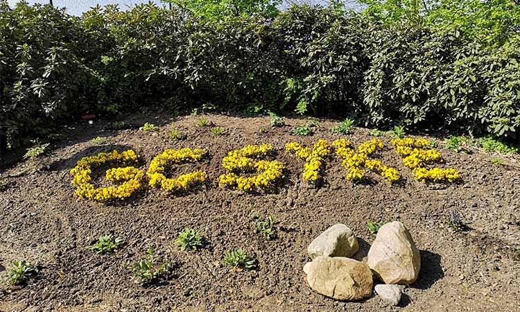 Ein Blumenbeet wo mit Blumen "GCSYKE" geschrieben ist