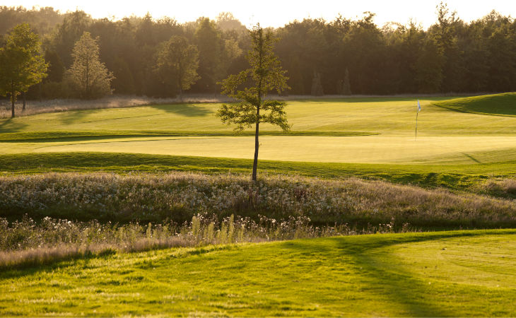 Ein Golfplatz im Abendlicht