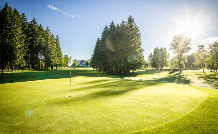 Ein idyllisches Grün auf einem Golfplatz, umrahmt von Tannen mit Sonnenschein