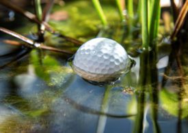Ein Golfball liegt in einem Teich