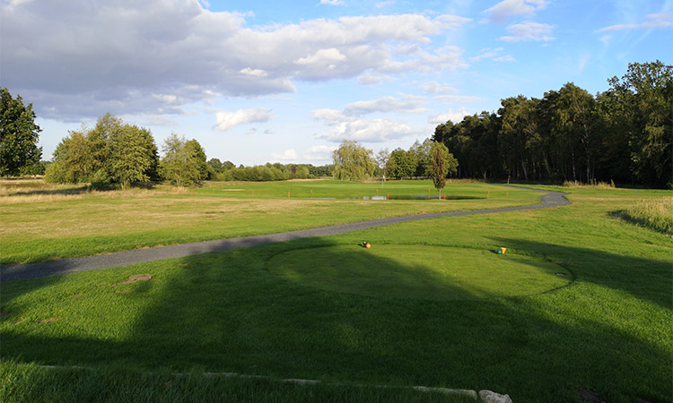 Eine Golfwiese mit mehreren Golfolätzen